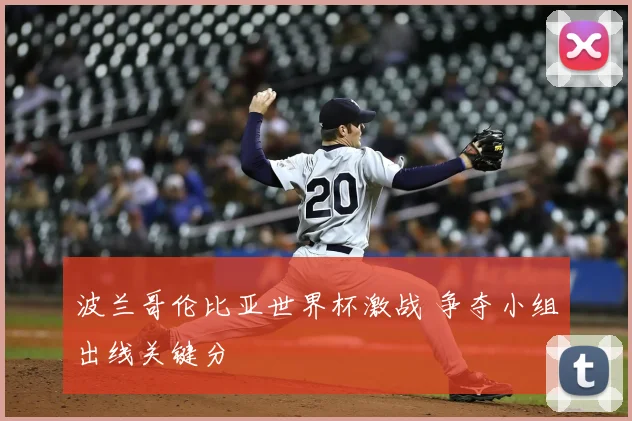 波兰哥伦比亚世界杯激战 争夺小组出线关键分