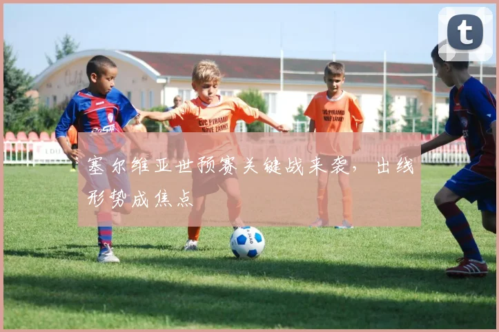 塞尔维亚世预赛关键战来袭,出线形势成焦点