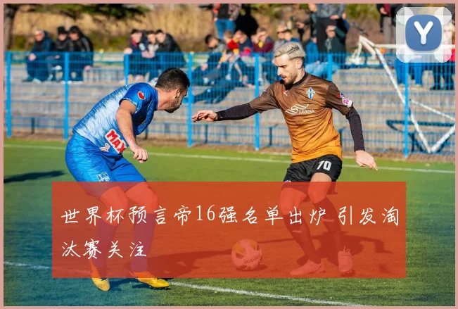 世界杯预言帝16强名单出炉 引发淘汰赛关注