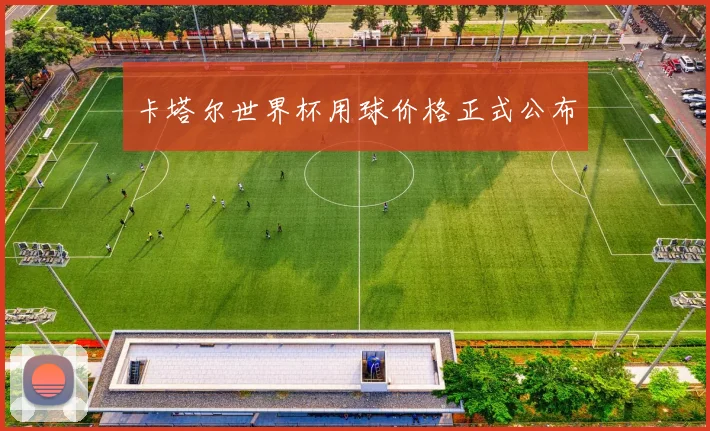 卡塔尔世界杯用球价格正式公布